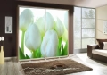 TULIPANY.jpg