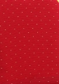 k66 bordo detal.jpg