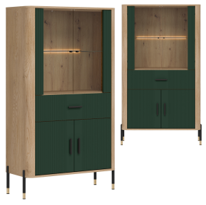 Witryna niska z szufladą Szafka przeszklona Dąb Zielony Czarny DANTE DT12