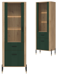 Witryna L/P z szufladą Szafka przeszklona Dąb Zielony Czarny DANTE DT13